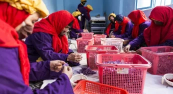 Afghan women protest against Oslo summit as it gives political recognition to Taliban