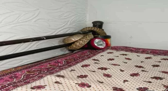 Snakes and lizards entering Delhi-NCR homes to escape heat wave!