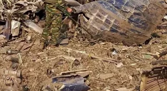 Serbia insists Dhaka, not Kyiv, was final destination of crashed Antonov carrying 11.5 tonnes of ammunition cargo