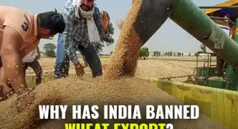 Amid Sudden Spike In Global Wheat Prices, India Bans Wheat Export To Curb Domestic Price Surge