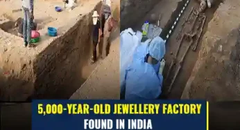 Rakhigarhi Excavation: ASI Finds 5,000-Year-Old Jewellery Factory At Rakhigarhi Harrapan Site