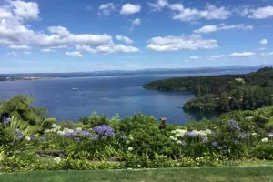 Has a super-volcano begun to stir beneath the placid Lake Taupo in New Zealand?