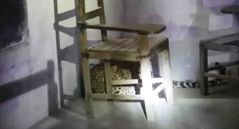 Leopard creates panic in Aligarh college