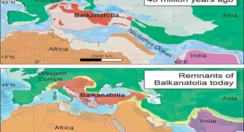 40 million years ago Asian animals moved to Europe because of “Balkanatolia”