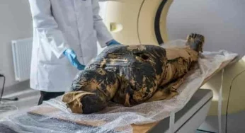 Mysterious Egyptian Mummy dating back to 1st Century BCE continues to baffle scientists!