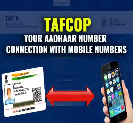 TAFCOP Explained: Step-By-Step Guide To Check Mobile Numbers Registered Under Your Aadhaar Number