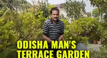 Meet ‘Nature Lover’ Dharani Kumar Dey From Odisha, Whose Terrace Garden Is Home To 40 Different Plants, Trees