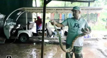 Heavy rains in Agra force snakes to seek shelter in e-rickshaws, schools