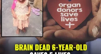 6-Year-Old Becomes Youngest Organ Donor At Delhi’s AIIMS, Saves 5 Lives