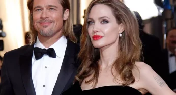 Brad Pitt sues Angelina Jolie for selling share in French wine estate to hostile Russian billionaire