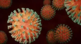 WHO worried as Omicron death toll touches 500,000 mark worldwide
