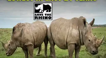 Anti Rhino Poaching | Rhino Poaching Lowest In Last 21 Years | Kaziranga National Park Assam