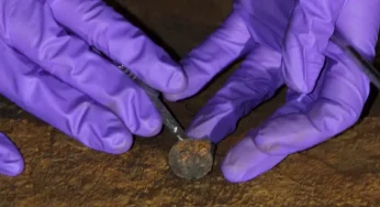 Victorian era coin found under the mast of most famous British ship