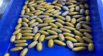 Ugandan national arrested at Delhi airport for smuggling 1 kg of heroin