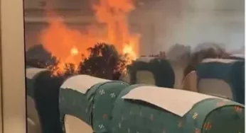 Caught on Camera: Passenger train in Spain stranded amidst raging wildfire on both sides of the track