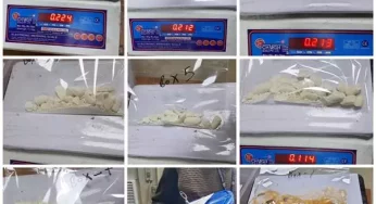 Ugandan woman arrested for smuggling 1 kg of cocaine at Delhi airport