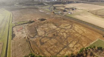 2,000 year old bones of frogs and toads discovered in England puzzles archaeologists