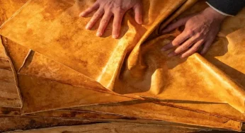 Scientists create ‘leather’ from mushrooms taking fashion industry by storm