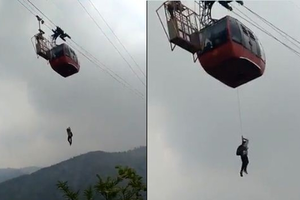 Himachal: Cable car gets stuck mid-air, all 11 passengers rescued