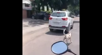 Video: Top doctor in Jodhpur drags stray dog behind car, police file case