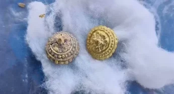 12,000-year-old stone tools discovered near Chennai by Archaeological Survey of India