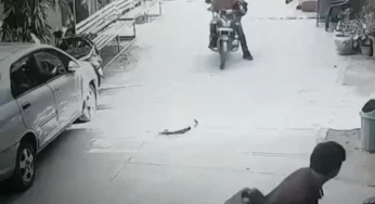 Bike thieves crash into gate as alert guard shuts it at last moment