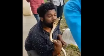 WATCH: Cobra returns rescuer’s kiss with deadly bite