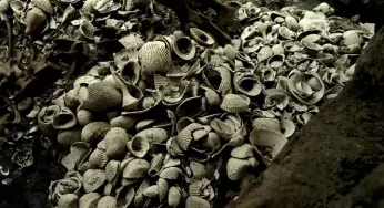 Aztecs’ offerings to Gods discovered in Mexico City reveal their beliefs and power