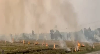 Punjab fails to reduce farm fires as Delhi-NCR air quality plummets