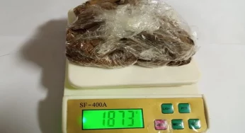 Gold worth Rs 2.5 crore seized at Mumbai airport