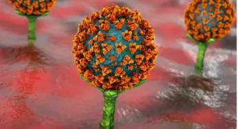 Four cases of Omicron variant driving China’s Covid wave detected in India