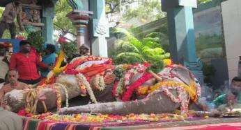 Puducherry’s sole temple elephant Lakshmi passes away