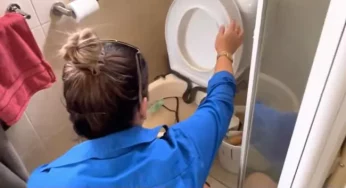 Watch: Woman expert calmly lifts snake coiled on a toilet seat