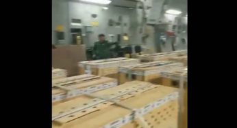 Watch: 12 Cheetahs from South Africa land in Gwalior on board IAF plane
