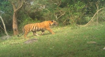 Tamil Nadu’s 18th wildlife sanctuary comes up in Erode