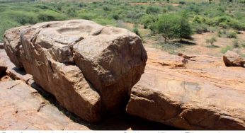 8,000-year-old Neolithic Age grain grinding structure found in Tamil Nadu