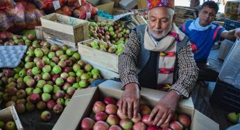Modi Govt’s ban on cheap imported apples comes as big boon for Himachal, J&K farmers