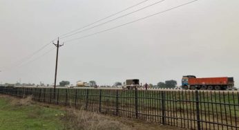 Govt plans Bahu Balli cattle fences along highways to reduce accidents