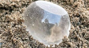 Ancient crystal quartz weighing unit discovered for first time at Keeladi, Tamil Nadu