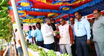 India’s Agri-researchers pioneer AI use to boost banana production