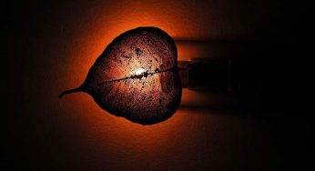 Seasoned photographer Ashwini Attri’s exhibition captures play of light and shade