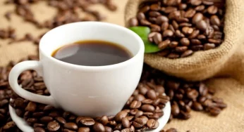 Kerala’s tribal women make waves at World Coffee Conference in Bengaluru
