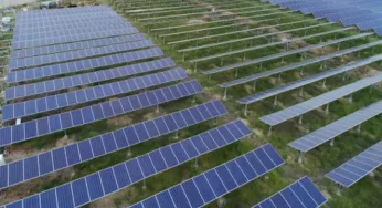 India adds record 10 GW of solar capacity in Q1 2024, marking almost 400 pc YoY increase