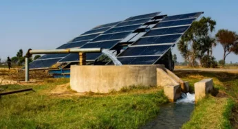 India becomes world’s third largest solar power generator, overtakes Japan: Report