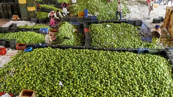 WPI Food Index increased from 5.52 pc in April to 7.40 pc in May