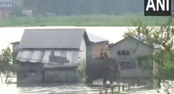 Assam: Flood situation remains grim in Nagaon; death toll from deluge rises to 84