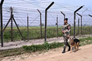 BSF issues high alert on Bangladesh-India border, security increased