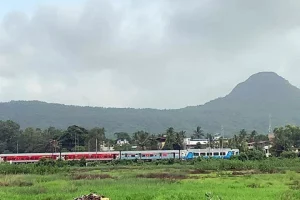 After Wayanad landslides, Centre proposes to designate over 56,000 sq km of Western Ghats as eco sensitive