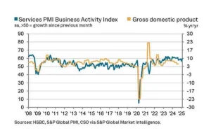 India’s services sector grows faster in February amid rising demand