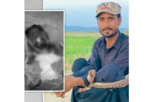 Balochistan: Pakistan security forces reportedly kill enforced disappearance survivor